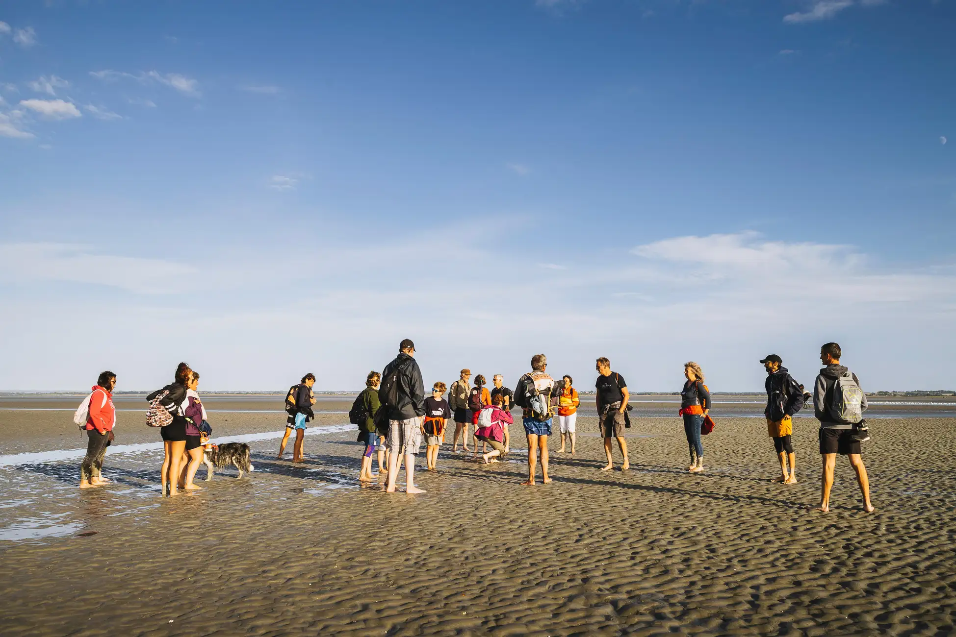 Mont-saint-Michel : Walk in the heart of the Bay